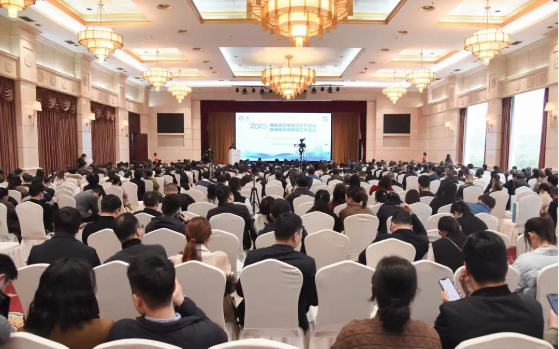 2023年湖南省卒中防治工作會議暨湖南卒中聯(lián)盟工作會議
